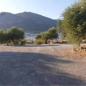 https://villa-el-algodonales.es-andalucia.com